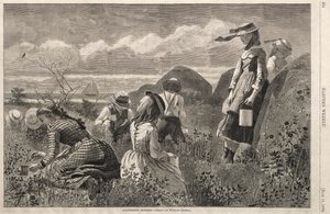 Bessen Plukken, 1874