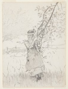 Meisje met een Tak van een Appelboom door Winslow Homer