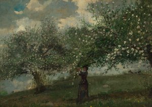 Meisje dat Appelbloesems Plukt door Winslow Homer