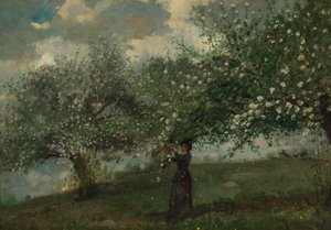 Meisje dat Appelbloesems Plukt door Winslow Homer