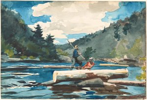 Hudson River, Houtkap