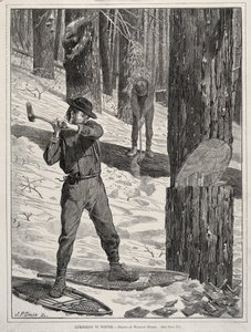  door Winslow Homer