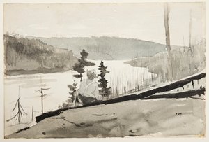 Berg Rivier of Meer door Winslow Homer