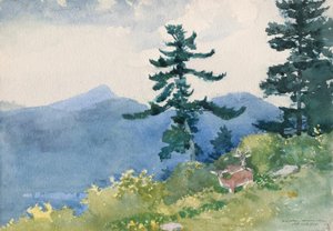 North Woods Club, Adirondacks (De onderbroken Tete-a-Tete)