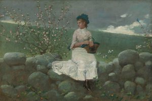 Perzikbloesems, 1878 door Winslow Homer