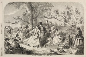 Picknicken in het Bos