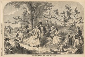 Picknicken in het Bos, uit Harper