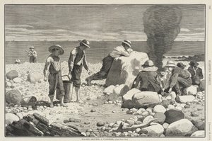  door Winslow Homer