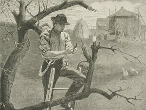  door Winslow Homer