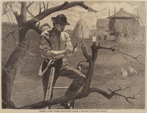 Lente Boerenwerk - Enten door Winslow Homer