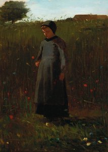 De bloemen van het veld
