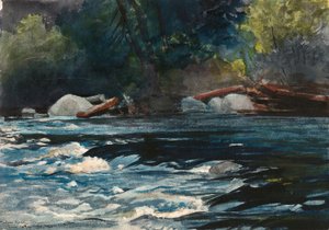 De Stroomversnellingen, Hudson River, Adirondacks door Winslow Homer