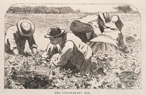 Het aardbeienbed, 1868 door Winslow Homer