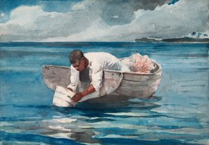 De waterwaaier door Winslow Homer
