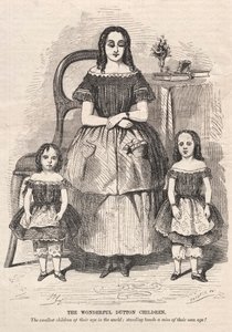 De wonderlijke Dutton-kinderen, 1859 door Winslow Homer