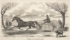 Draven op de Molendam, Boston door Winslow Homer