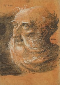 Hoofd Studie, 1522 door Wolf Huber