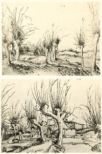Landschappen met wilgenbomen door Wolf Huber