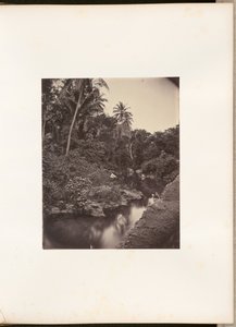 [Rivier bij Kupang]. door Woodbury and Page