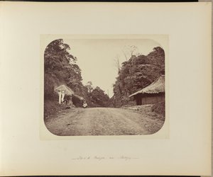 Top of the Poentjak near Buitenzorg door Woodbury and Page