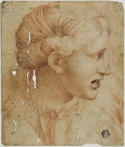 Vrouwelijk hoofd in profiel, naar rechts kijkend door Workshop of Raphael