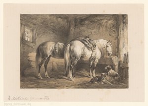 Twee paarden en honden in een stal door Wouter  Verschuur