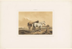 Twee paarden in een wei bij een hek door Wouter  Verschuur