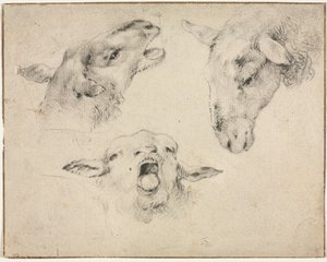 Schapenkoppen, tweede of derde kwart 1800s