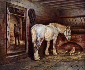 Aan het Einde van de Dag: paard in de stallen terwijl een man uitmest