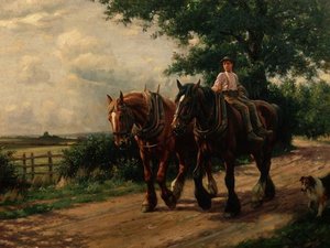 Op Weg Naar Huis