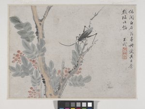 Insect en Boom na Shen Zhou door Wu Wang