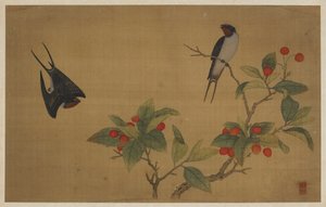 Vogels en fruit