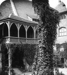 Lindeboom in een binnenplaats, Neurenberg, Beieren, Duitsland, ca. 1900s