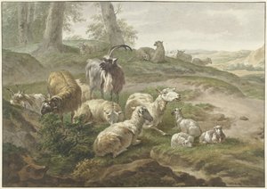 Bokken en schapen in een heuvelachtig landschap
