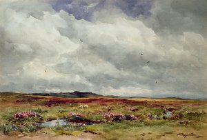 Een winderige dag, Dartmoor