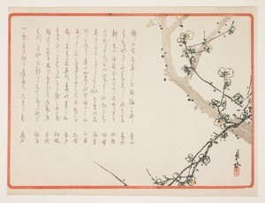 (Pruimenbloesems)