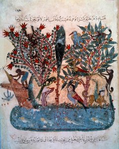 Het mysterieuze eiland bevolkt met vreemde dieren. Miniatuur uit de "Maqamat" (Seances) door Abu Mohammed al-Kasim ibn Ali Hariri, verlucht door Yahya Mahmud al-Wasiti in 1237, Parijs, B.N. door Yahya ibn Mahmud Al Wasiti