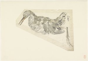 Dode watervogel