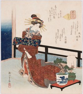 Miyako no hana "Bloem van de hoofdstad", een term die wordt gebruikt om beroemde acteurs, courtisanes of beroemdheden aan te duiden, met een illustratie van een courtisane die bij een pot dennenboom staat, met gedichten van Shikishima Edamichi, Kagenro en  door Yanagawa II Shigenobu