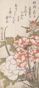 Pioenen en Iris door Yanagawa Shigemasa