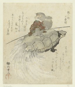 Aap met langharige schildpad