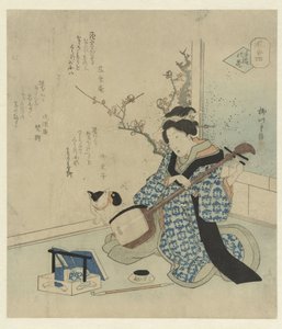 Geisha stemt haar shamisen