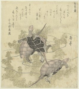 Drie schildpadden tussen waterplanten door Yashima Gakutei