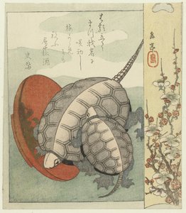Schildpadden met sake schaaltje door Yashima Gakutei