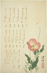 Twee klaprozen door Yokoyama Seiki
