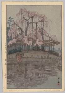 Acht scènes van kersenbloesems: Lente regen door Yoshida Hiroshi