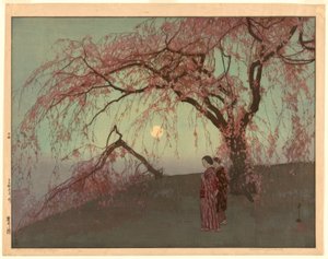 Kumoi-kersenbomen (Kumoi sakura)