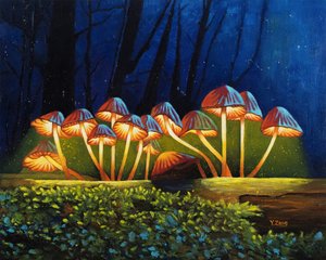 Nachtlicht gloeiende paddenstoelen door Yue Zeng