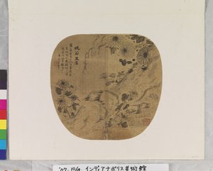 Chrysant en granaatappel, datum onbekend door Yun Wu