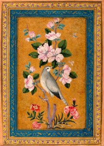Vogel Zittend op een Bloeiende Tak, 1696 door Yusuf Zaman